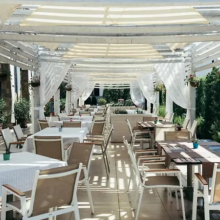 Sea Star Daire Süzebolu